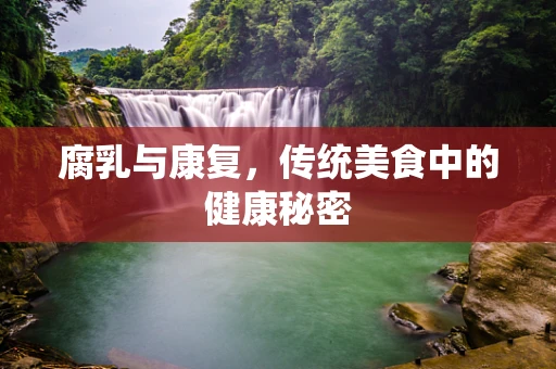 腐乳与康复，传统美食中的健康秘密