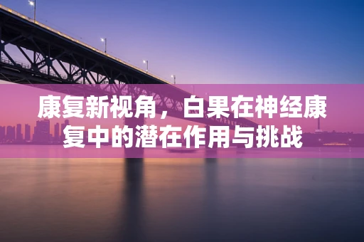 康复新视角，白果在神经康复中的潜在作用与挑战