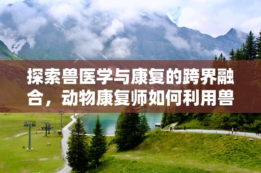 探索兽医学与康复的跨界融合，动物康复师如何利用兽医学知识促进宠物康复？