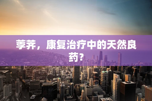 荸荠，康复治疗中的天然良药？