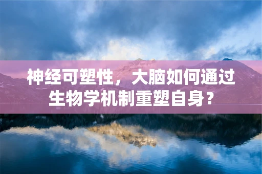 神经可塑性，大脑如何通过生物学机制重塑自身？