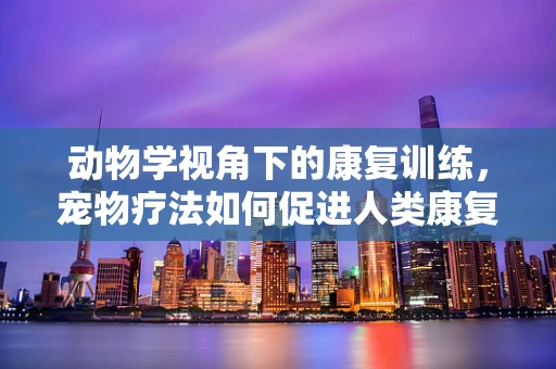 动物学视角下的康复训练，宠物疗法如何促进人类康复？