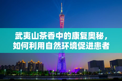武夷山茶香中的康复奥秘，如何利用自然环境促进患者身心恢复？