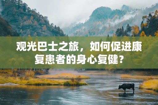 观光巴士之旅，如何促进康复患者的身心复健？