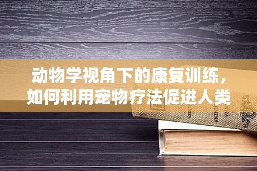 动物学视角下的康复训练，如何利用宠物疗法促进人类康复？