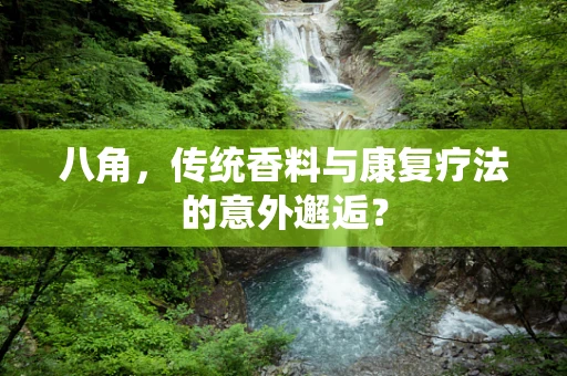 八角，传统香料与康复疗法的意外邂逅？