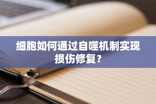 细胞如何通过自噬机制实现损伤修复？