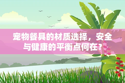 宠物餐具的材质选择，安全与健康的平衡点何在？