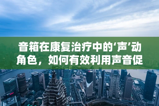 音箱在康复治疗中的‘声’动角色，如何有效利用声音促进患者恢复？
