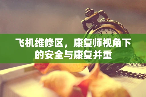 飞机维修区，康复师视角下的安全与康复并重