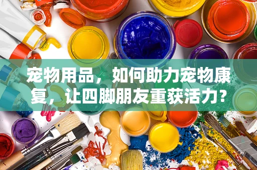 宠物用品，如何助力宠物康复，让四脚朋友重获活力？