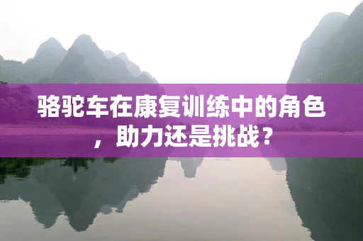 骆驼车在康复训练中的角色，助力还是挑战？