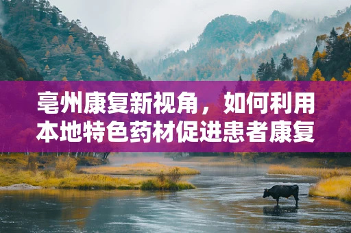 亳州康复新视角，如何利用本地特色药材促进患者康复？