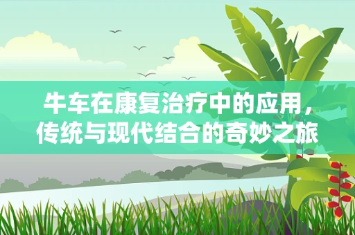 牛车在康复治疗中的应用，传统与现代结合的奇妙之旅