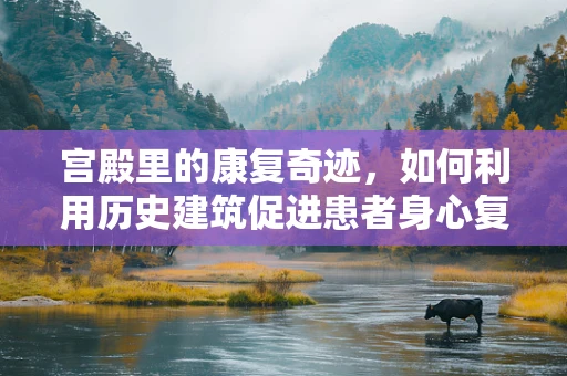 宫殿里的康复奇迹，如何利用历史建筑促进患者身心复原？