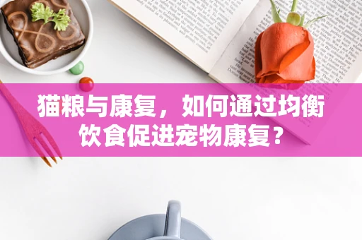 猫粮与康复，如何通过均衡饮食促进宠物康复？