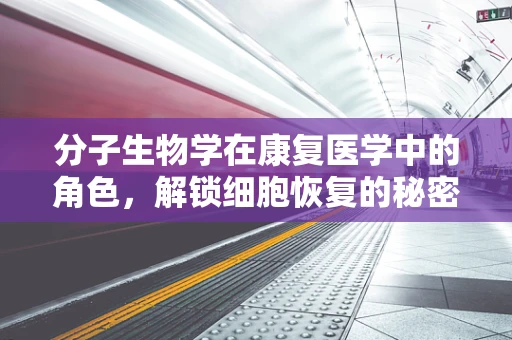 分子生物学在康复医学中的角色，解锁细胞恢复的秘密钥匙？