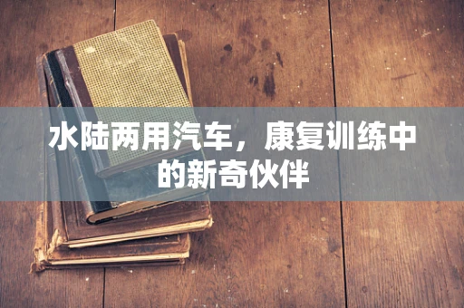 水陆两用汽车，康复训练中的新奇伙伴