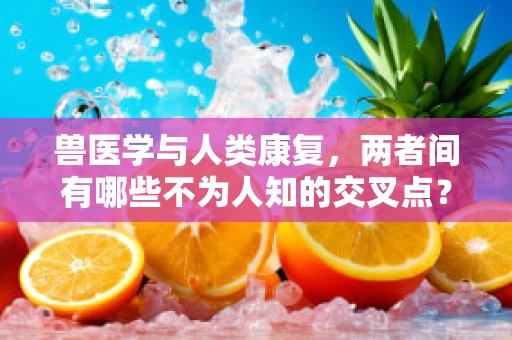 兽医学与人类康复，两者间有哪些不为人知的交叉点？