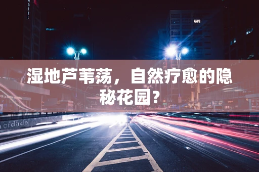 湿地芦苇荡，自然疗愈的隐秘花园？
