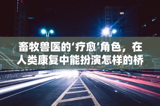 畜牧兽医的‘疗愈’角色，在人类康复中能扮演怎样的桥梁作用？