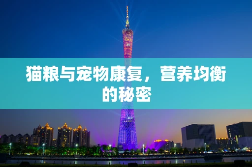 猫粮与宠物康复，营养均衡的秘密