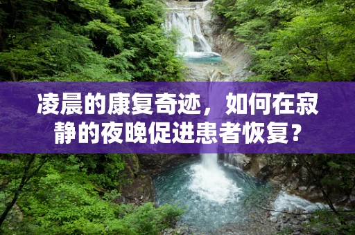 凌晨的康复奇迹，如何在寂静的夜晚促进患者恢复？