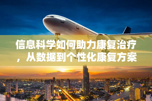 信息科学如何助力康复治疗，从数据到个性化康复方案的飞跃？