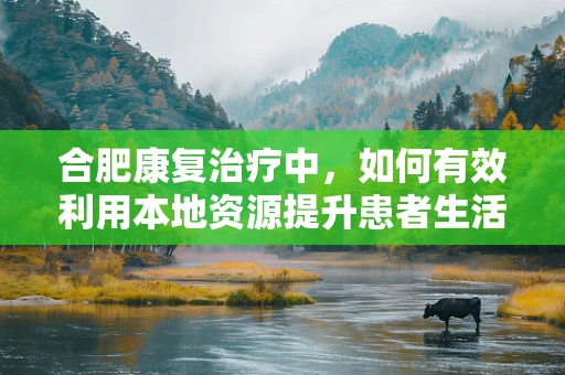 合肥康复治疗中，如何有效利用本地资源提升患者生活质量？