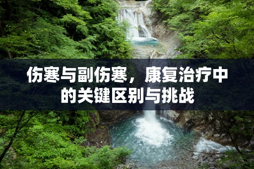 伤寒与副伤寒，康复治疗中的关键区别与挑战