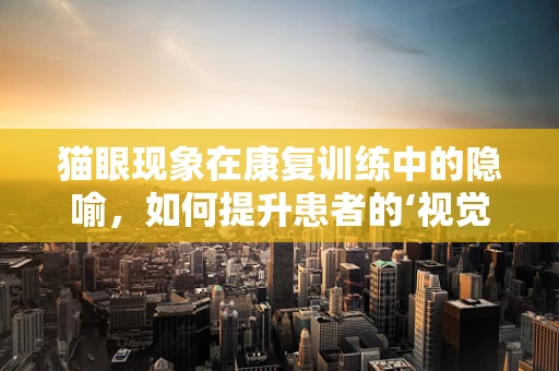 猫眼现象在康复训练中的隐喻，如何提升患者的‘视觉’恢复力？