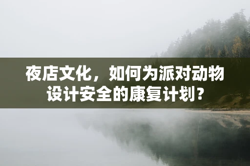 夜店文化，如何为派对动物设计安全的康复计划？