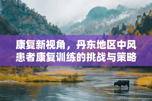 康复新视角，丹东地区中风患者康复训练的挑战与策略