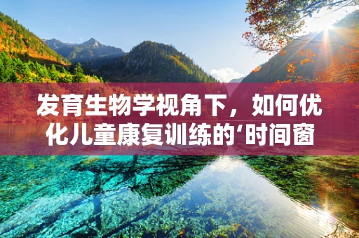 发育生物学视角下，如何优化儿童康复训练的‘时间窗’？