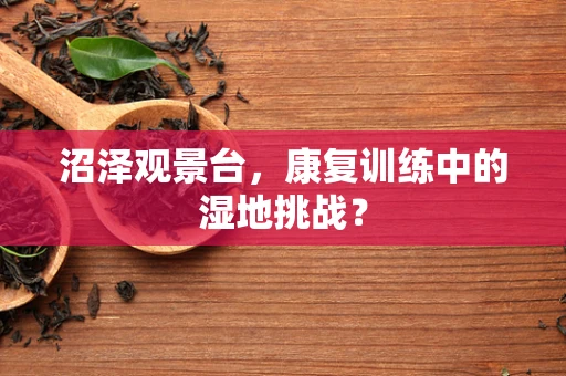 沼泽观景台，康复训练中的湿地挑战？