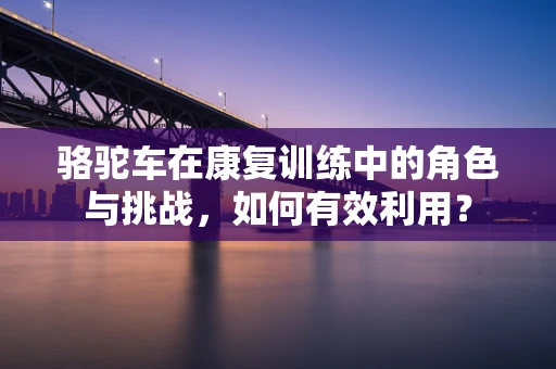 骆驼车在康复训练中的角色与挑战，如何有效利用？