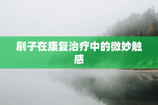 刷子在康复治疗中的微妙触感