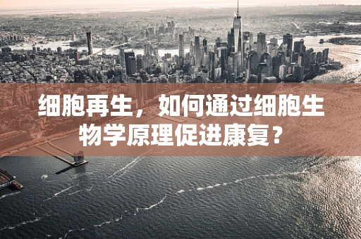 细胞再生，如何通过细胞生物学原理促进康复？