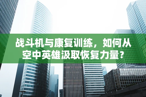 战斗机与康复训练，如何从空中英雄汲取恢复力量？