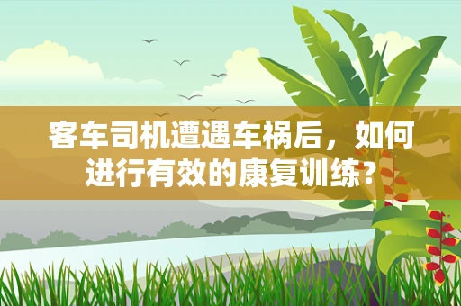客车司机遭遇车祸后，如何进行有效的康复训练？