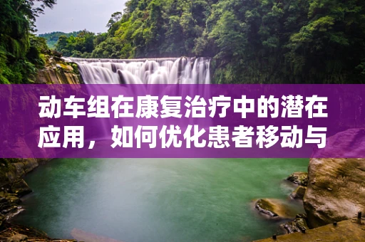 动车组在康复治疗中的潜在应用，如何优化患者移动与康复体验？