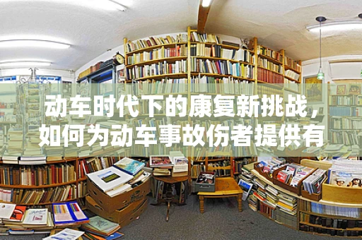 动车时代下的康复新挑战，如何为动车事故伤者提供有效康复？