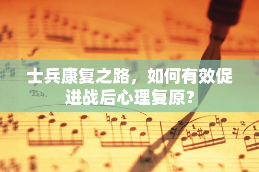 士兵康复之路，如何有效促进战后心理复原？