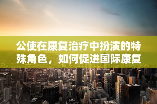 公使在康复治疗中扮演的特殊角色，如何促进国际康复交流与合作？