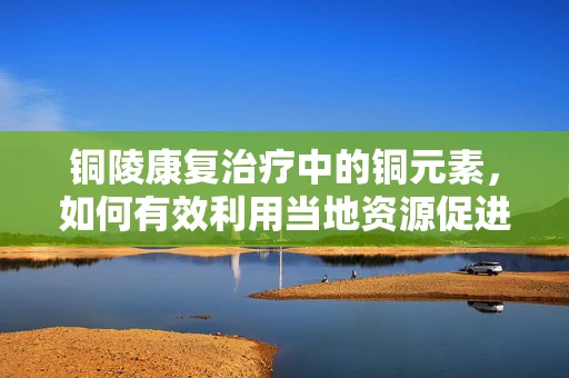 铜陵康复治疗中的铜元素，如何有效利用当地资源促进患者康复？