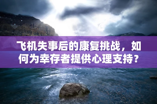 飞机失事后的康复挑战，如何为幸存者提供心理支持？