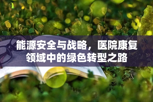 能源安全与战略，医院康复领域中的绿色转型之路