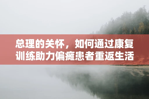 总理的关怀，如何通过康复训练助力偏瘫患者重返生活？