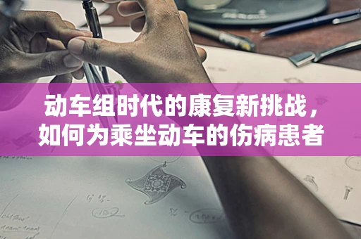 动车组时代的康复新挑战，如何为乘坐动车的伤病患者提供个性化康复方案？