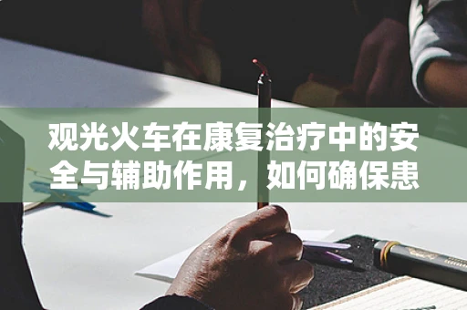 观光火车在康复治疗中的安全与辅助作用，如何确保患者安全乘坐？